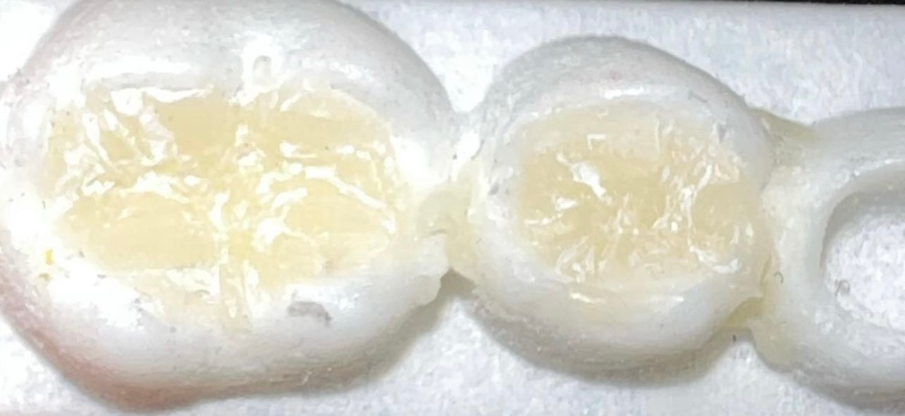 Morphology master Kit